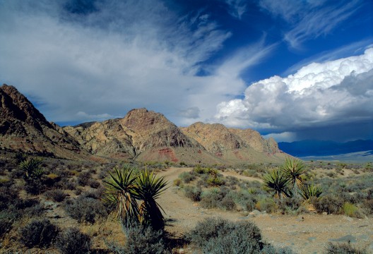 Desert Sky, Red Rock Canyon